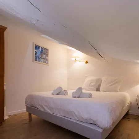Appartement T2 Cosy Sous Combles Proche Canal Du Midi & Cite